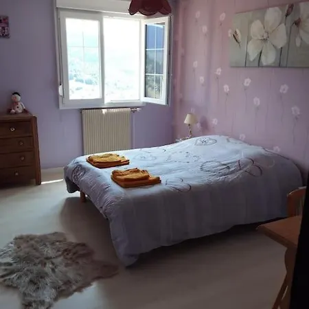 Maison De Montagne Avec Vue Panoramique Bussang