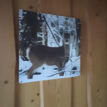 Maison De Montagne Avec Vue Panoramique *