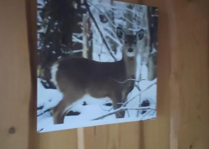 Maison De Montagne Avec Vue Panoramique *